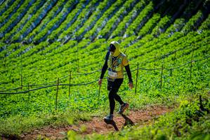 BIB: 
                            <button type="button" onclick="openModal(19163166)" class="btn btn-primary btn-sm float-right btn-popup" data-toggle="modal" data-target=".modal-high-quality">
                        <i class="fas fa-shopping-cart"></i> Add to Cart
                    </button>
                                            <button type="button" onclick="isThisMe(19163166, true)" class="btn btn-success btn-sm float-right btn-popup btn-isme hidden" data-toggle="tooltip" data-placement="bottom" title="นี่คือรูปของคุณใช่ไหม คลิกที่นี่เพื่อเอาเข้าอัลบั้ม">
                        <i class="fas fa-plus"></i> Add to album
                    </button>
                    <button type="button" onclick="isThisMe(19163166, false)" class="btn btn-warning btn-sm float-right btn-popup btn-isnotme hidden">
                        <i class="fas fa-ban"></i> Remove from album
                    </button>